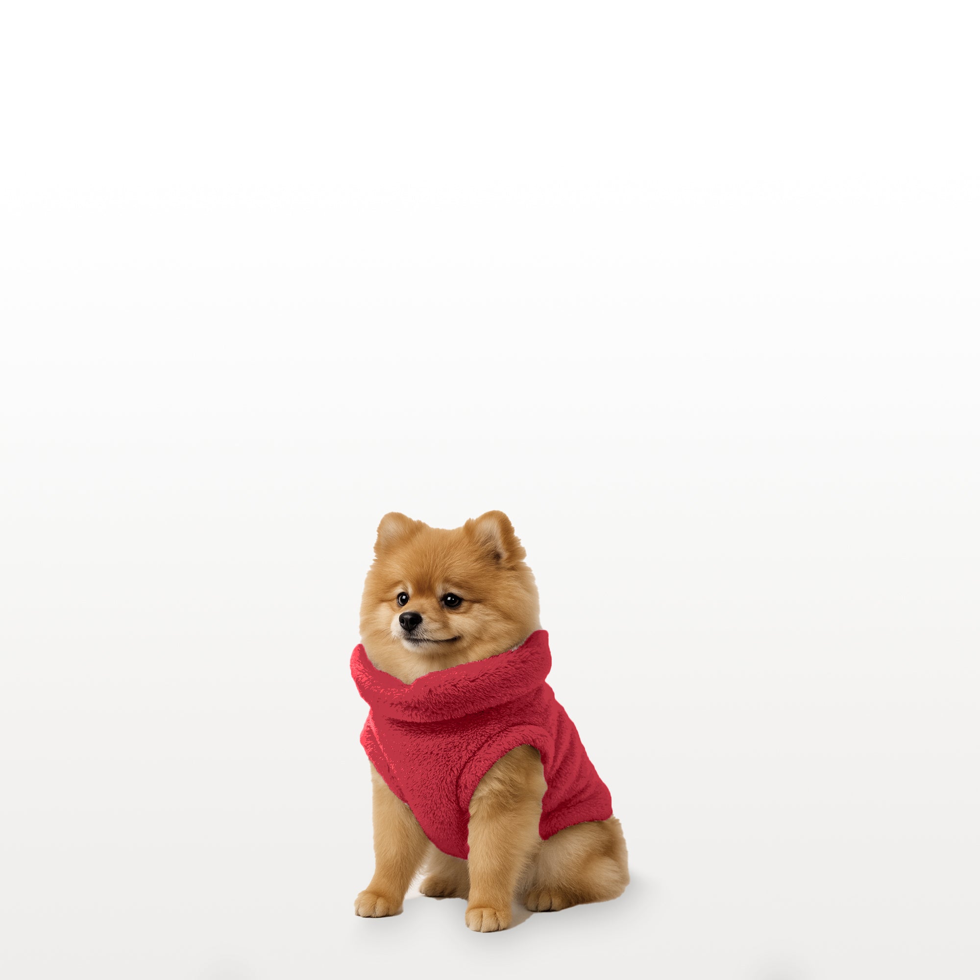 Sacos Moscú para perro