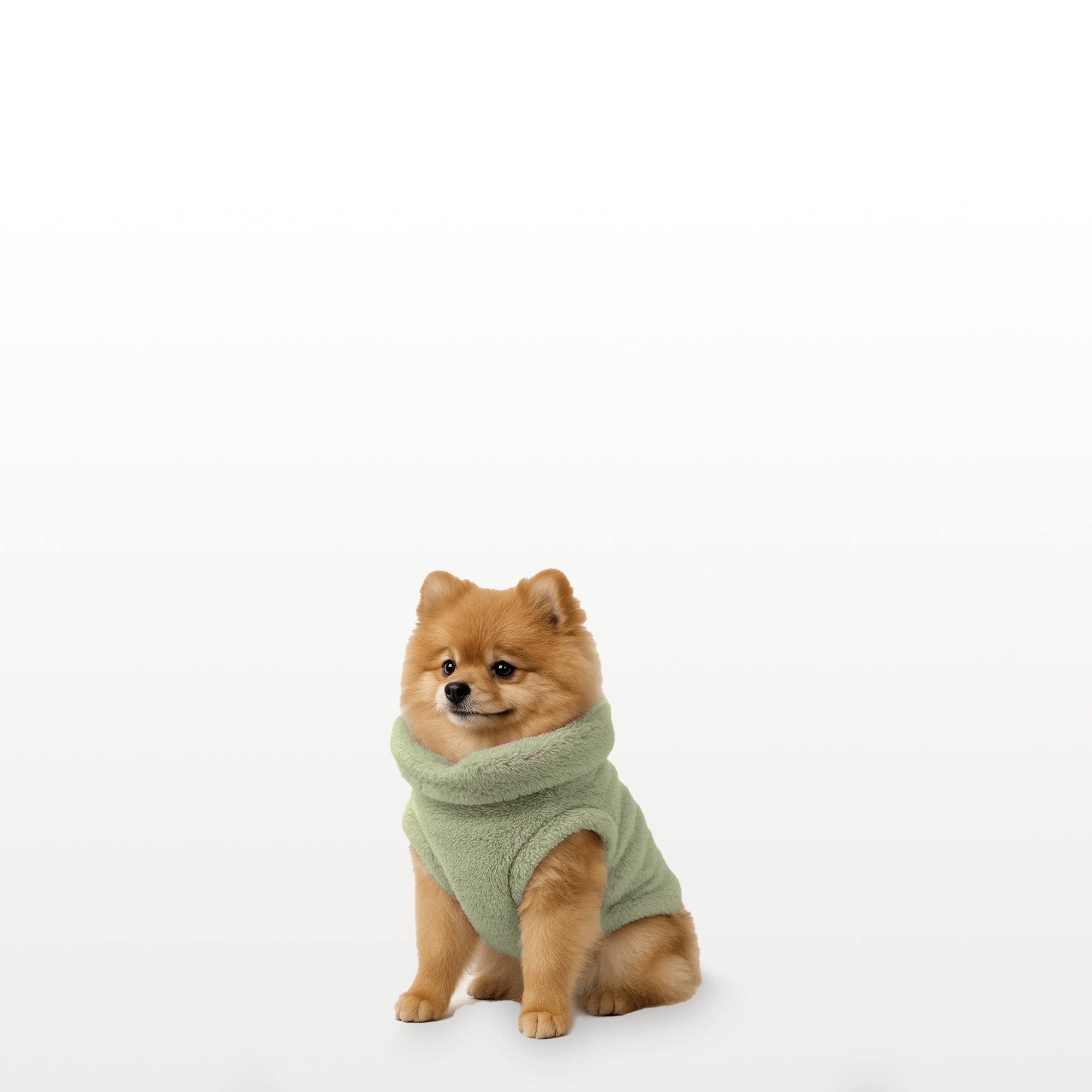Sacos Moscú para perro