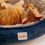 Camas París para gato