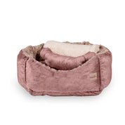 Combo Cama París para perro