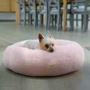 Perro descansando en cama antiestrés tipo Donut Guamba
