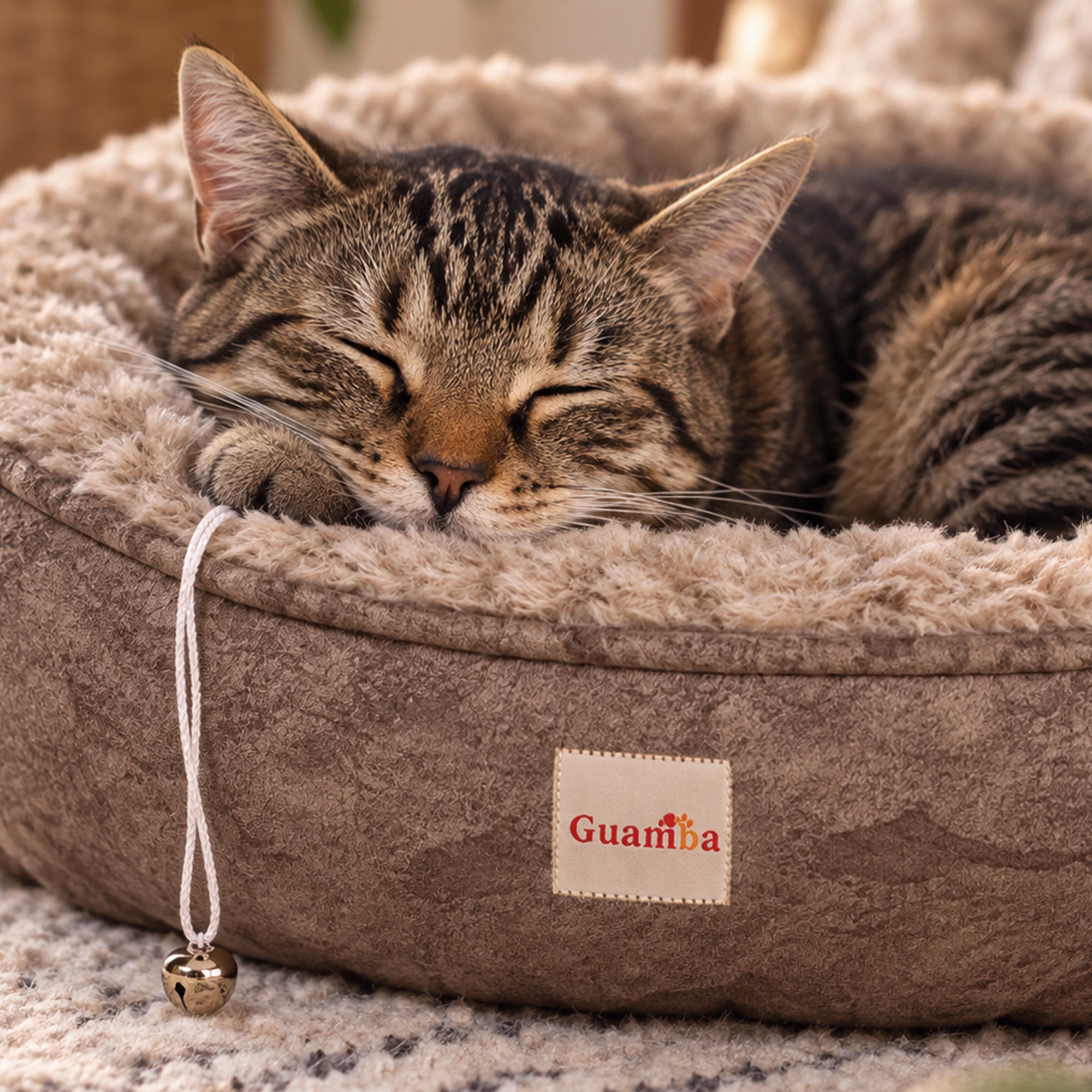 PORTADA-CAMJA-GATO-PARIS-TAUPE.jpg