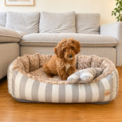 Camas para perros funny