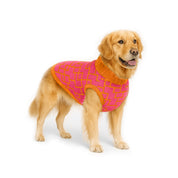 Saco Kubik para perro