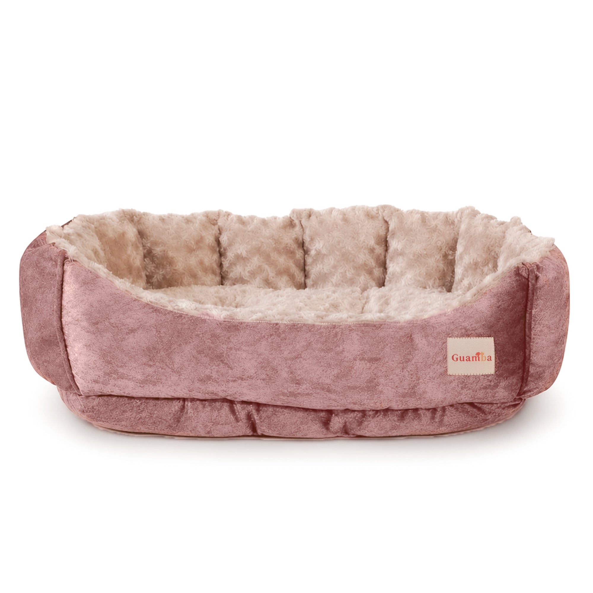 ROSA-PARIS-SOLA.jpg