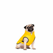 Chaquetas impermeables Classic Dog