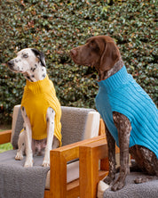 Sacos Preppy para perro