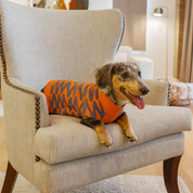 Sacos Alegría para perro