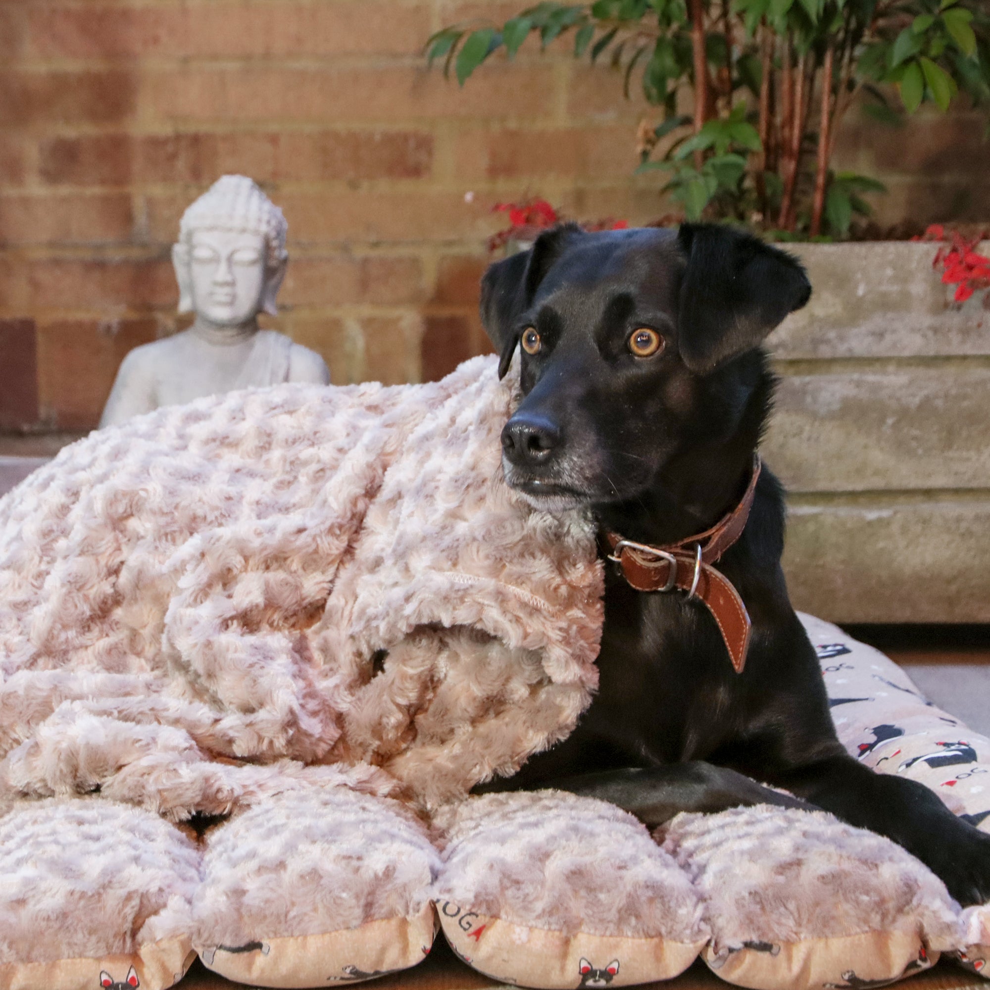 Camas portables travel roll para mascotas