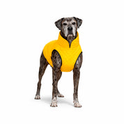 Chaquetas impermeables Classic Dog