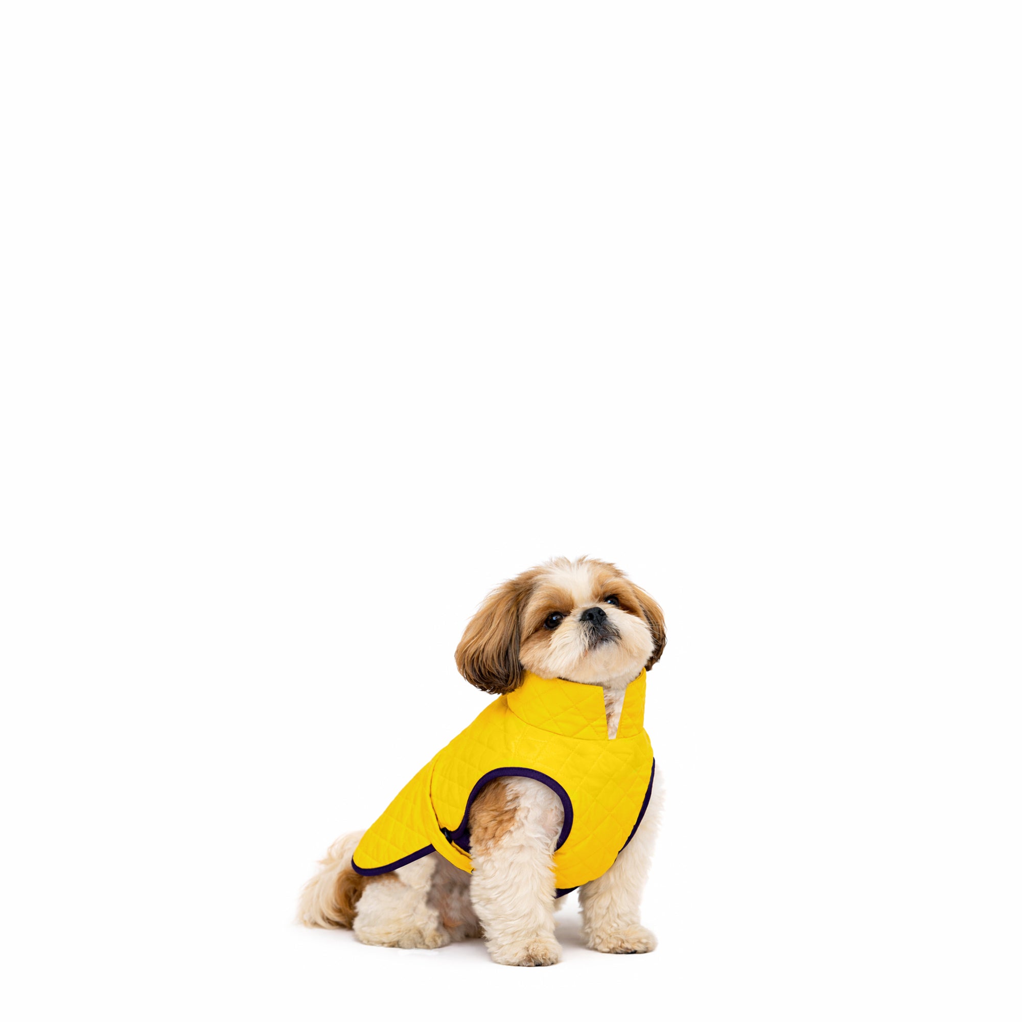 Chaquetas impermeables Classic Dog