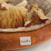 Camas París para gato