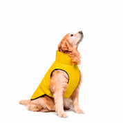 Chaquetas impermeables Classic Dog